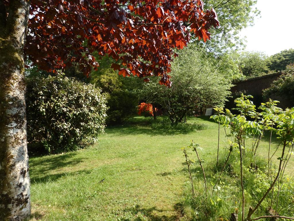 The Potting Shed Apartment Little Torrington Exterior foto